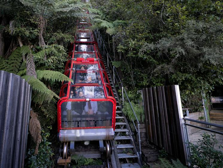 Scenic World, Katoomba