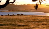 Rolling farmland in the Goulburn countryside, NSW Southern Tablelands