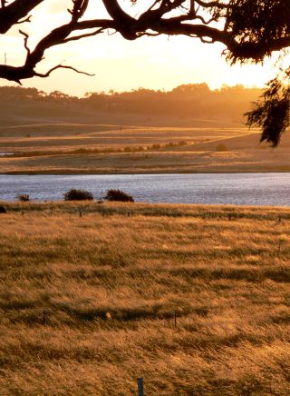 Rolling farmland in the Goulburn countryside, NSW Southern Tablelands