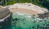 Coastal aerial of Pebbly Beach and Bicentennial Walk in Forster, North Coast