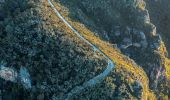 Narrow Neck Plateau Trail, World-Heritage listed Blue Mountains National Park