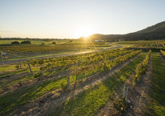 Coolangatta Estate, Shoalhaven Heads - South Coast