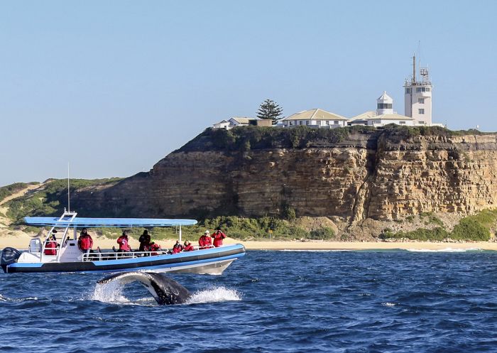 CoastXP Tours, Newcastle