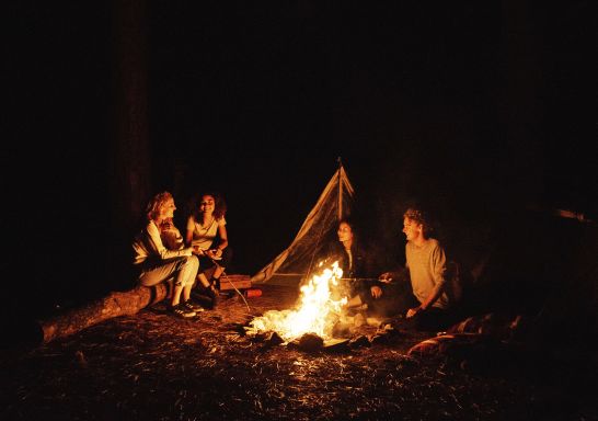 Olney State Forest in Lake Macquarie