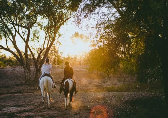 Grays Holler Horse Riding in Lightning Ridge - Outback NSW