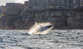 tour with Dive Jervis Bay - South Coast