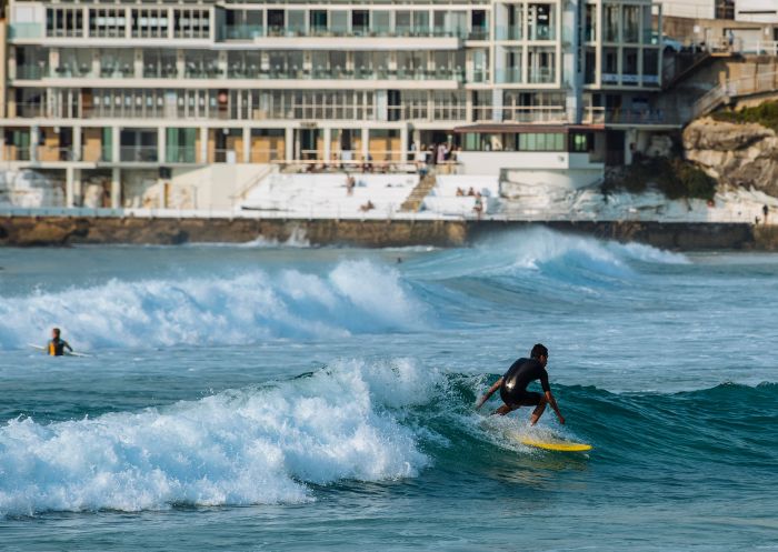 Surfers catching a morning wave, Bondi Beach Surfers catching a morning wave, Bondi Beach