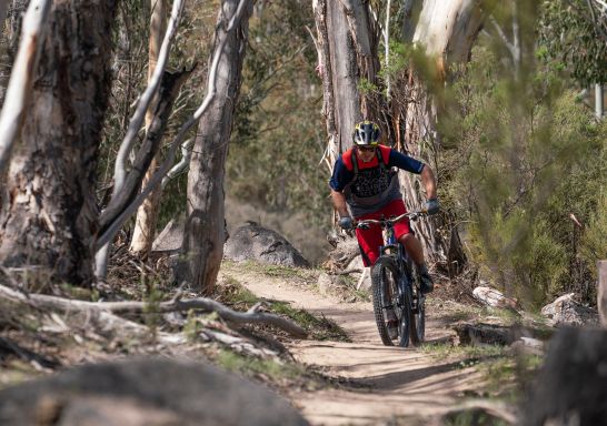 Mountain bike rider on the Lower Thredbo Valley Track, Kosciuszko National Park