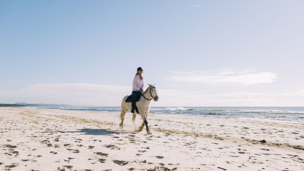 Zephyr Horses, Byron Bay
