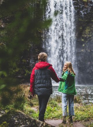 Couple enjoying a walk to the bottom of Dangar Falls in Dorrigo