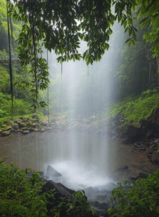 Scenic views of Dorrigo National Park from behind Crystal Shower Falls at Dorrigo in Coffs Coast