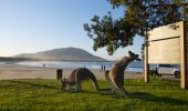 Diamond Head Campground - Crowdy Bay National Park