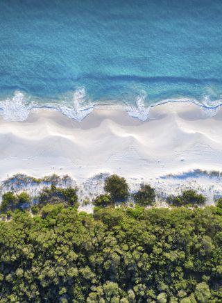 Hyams Beach in Jervis Bay - South Coast. Credit: Jordan Robins