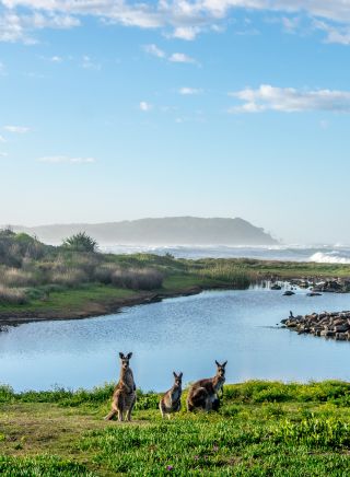 Beach scapes at Bundjalung National Park