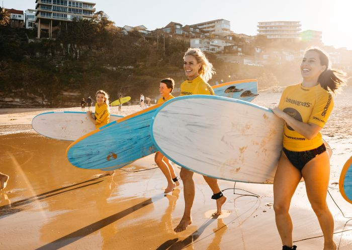 Manly Surf School, Freshwater Beach People learning to surf at Manly Surf School, Freshwater Beach
