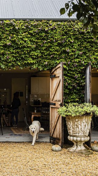 Krinklewood Vineyard - Credit: Nikki To