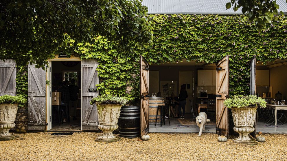 Krinklewood Vineyard - Credit: Nikki To