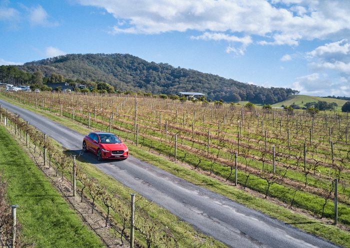 Mountain Ridge Wines, Coolangatta Driving through the scenic vineyards of Mountain Ridge Wines, Coolangatta