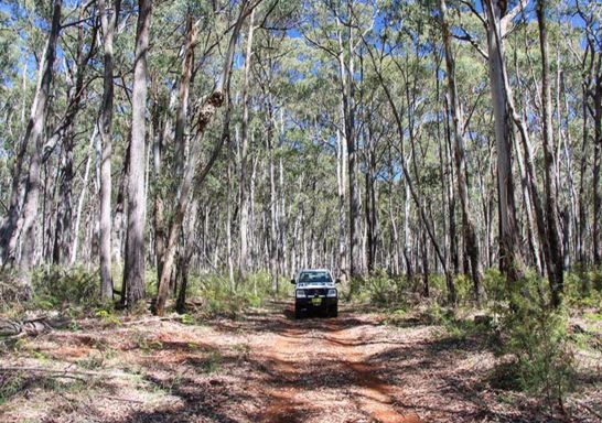 A 4WD vehicle on the Barraba track, Mount Kaputar National Park