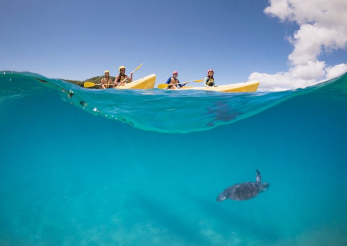 Credit: Cape Byron Kayaks 