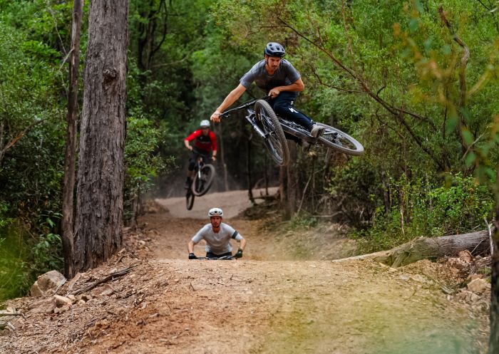 Gravity Eden Mountain Bike Park - Credit: Flow Mountain Bike 
