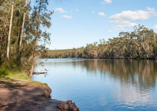 Corramy Regional Park in St Georges Basin, Jervis Bay and Shoalhaven, South Coast