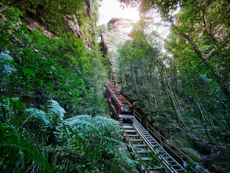 Scenic Railway