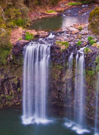 Dorrigo Dangar Falls - Dorrigo National Park