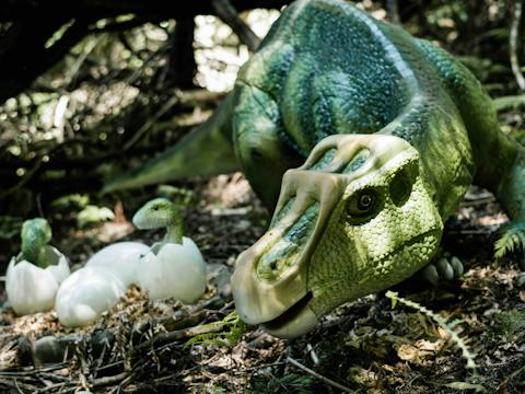 Dinosaur Valley