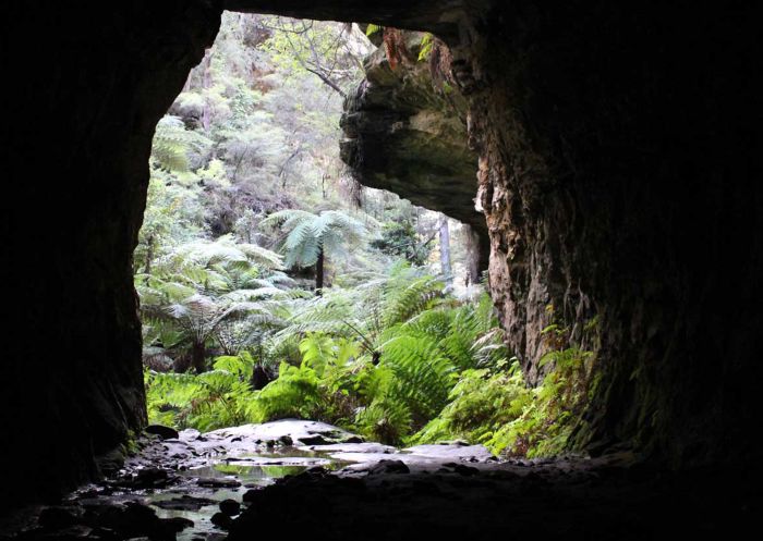 Wolgan Valley Eco Tours, Wolgan Valley - Credit: Wolgan Valley Eco Tours Glow worm tunnel tour with Wolgan Valley Eco Tours, Wolgan Valley
