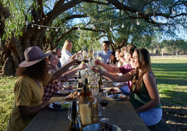 Tinklers Wine picnic - Hunter Valley Friends cheers in the afternoon sun at Tinklers WIne - Hunter Valley