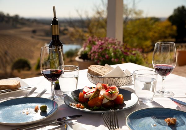 lunch next to the Vineyard - Bistro Mollines Dining at Bistro Mollines in the Hunter Valley