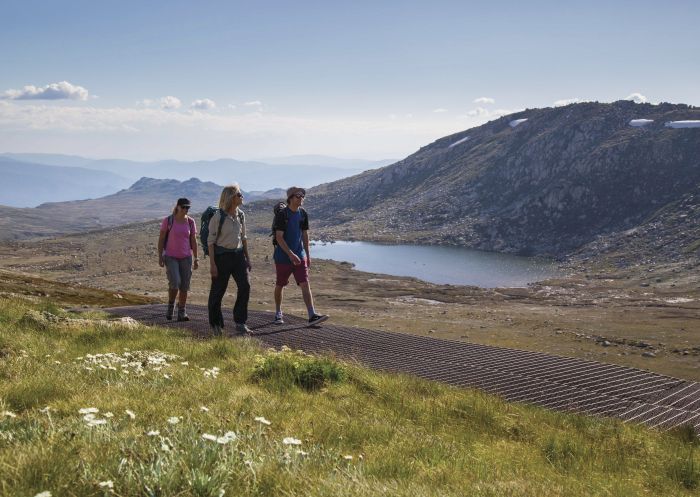 Kosciuszko National Park, Kosciuszko