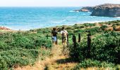 Coastal walking track at Wallarah National Park, Lake Macquarie 
