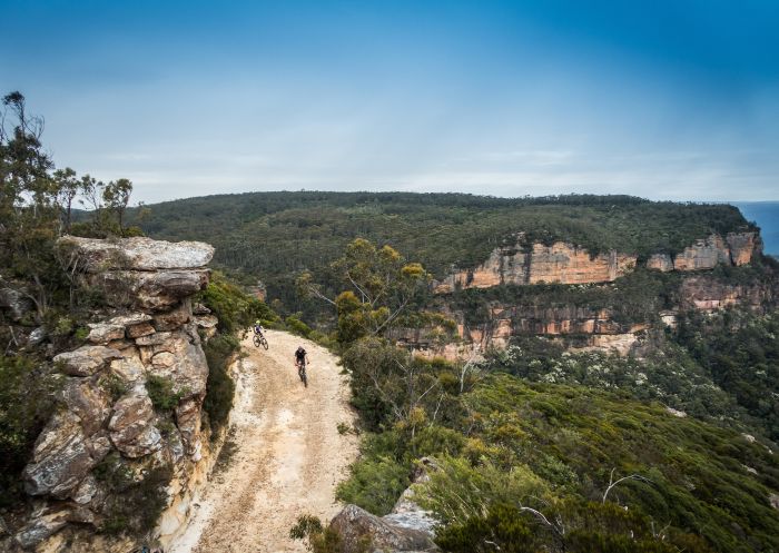 Blue Mountains Biking Adventures
