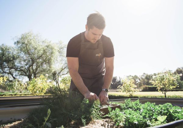 Fawks Foods - Hunter Valley Chef picking fresh produce at Fawks Foods, Hunter Valley