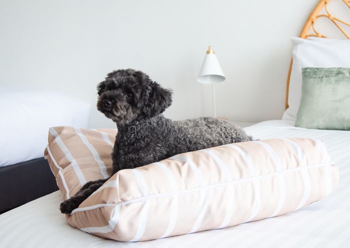 Vali Byron, Byron Bay - Credit: Vali Byron Pets provided with a dog bed, blanket and bowl at Vali Byron, Byron Bay