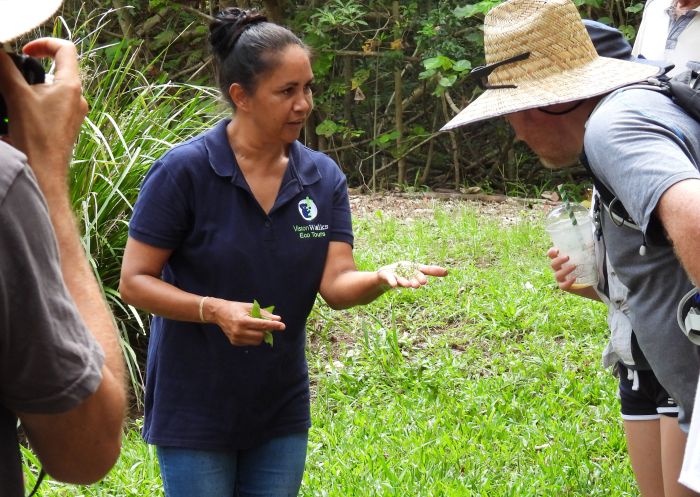 Vision Walks Eco Tours, Mullumbimby Heritage Park Local Arakwal woman Delta Kay teaching about local produce with Vision Walks Eco Tours, Mullumbimby Heritage Park